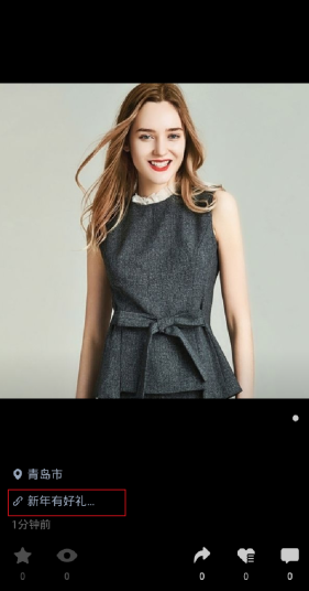 服务案例介绍13